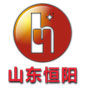 山东恒阳新材料有限公司